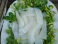 /album/fotogaleria-english/chocos-jpg1/